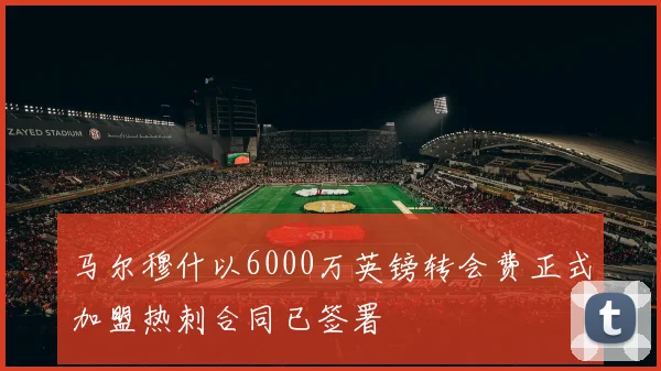 马尔穆什以6000万英镑转会费正式加盟热刺合同已签署